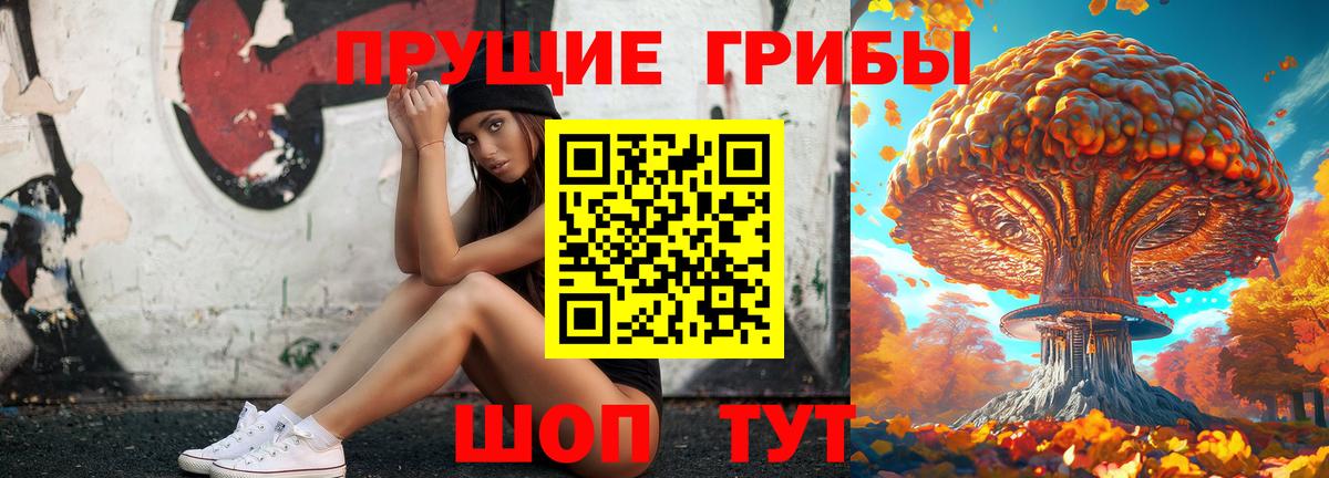 купить   Вход с VPN  Галлюциногенные грибы Psilocybine cubensis  Десногорск  Псилоцибиновые грибы мухоморы 